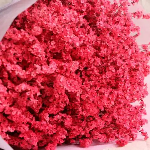 【云南产地直销】天然植物干花花束水晶草染色客厅装饰彩色水晶花