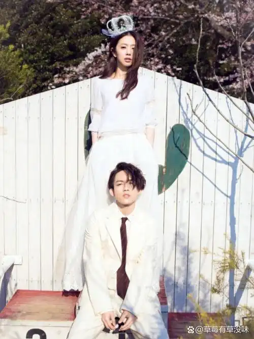 挑战发100组明星婚纱照|十五组林宥嘉丁文琪 林宥嘉和丁文琪在游乐园