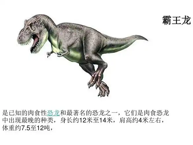 所有分类 小学教育 语文 人教版四年级上册 31飞向蓝天的恐龙ppt