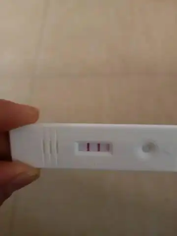 还有两天来月经,换了个验孕棒也是双杠,这是怀上了吗?