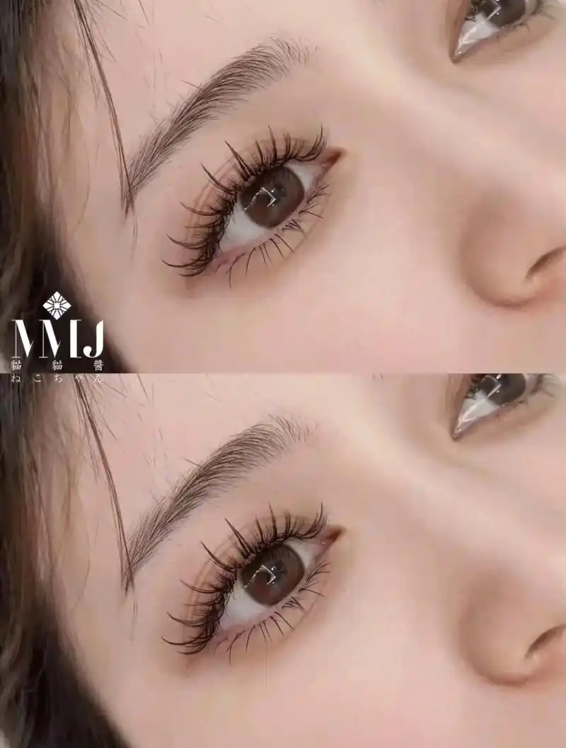 网红睫毛 #漫画款睫毛 #太阳花睫毛 #嫁接睫毛 #睫毛 - 抖音