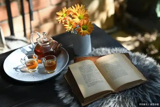 天气晴朗,阳光盘踞在窗台之上,照亮了一段闲适的光阴,也邀出了一日无