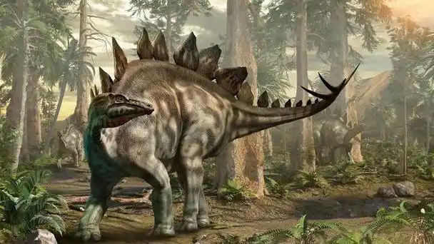 剑龙(stegosaurus)是一种生存于晚侏罗纪(约1亿5000万年前)的甲龙类