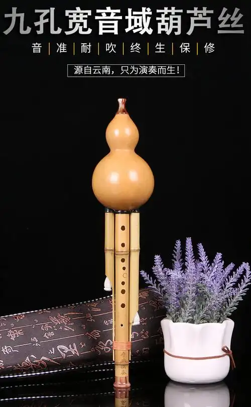 降b调葫芦丝九孔子乐九孔葫芦丝宽音域成人学生演奏8孔9孔c调降b小dgf