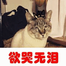 欲哭无泪 - 斗图表情包 - 斗图神器 - adoutu.com