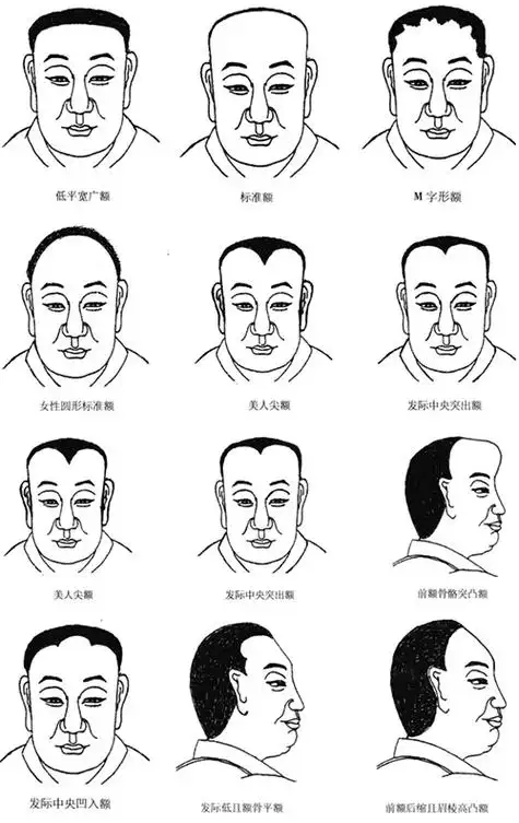 面相分析:如何从额头看运势 额头突出面相