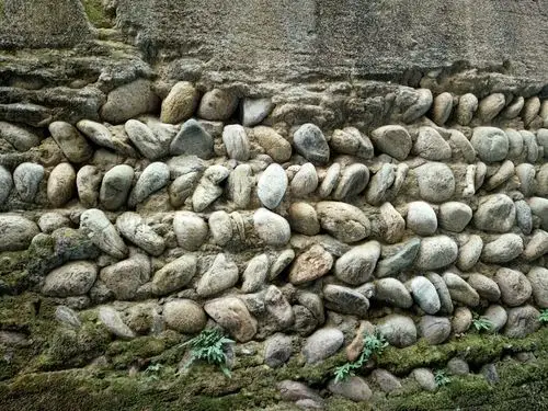 鹅卵石堆砌的墙壁,有青草爬上!