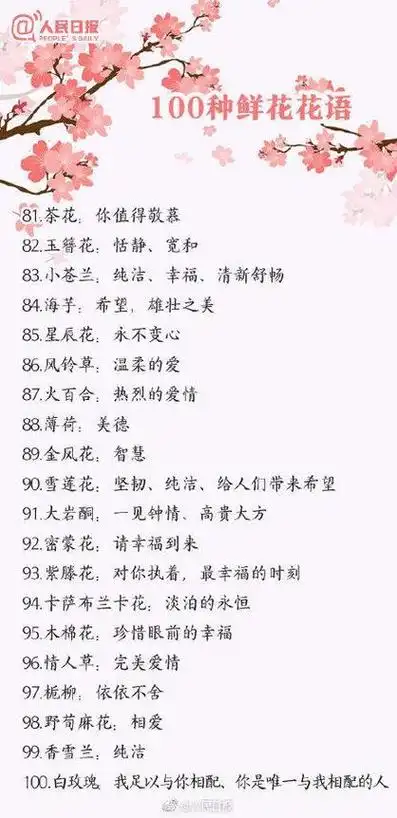 各种花的花语是开心(花语寓意开心)