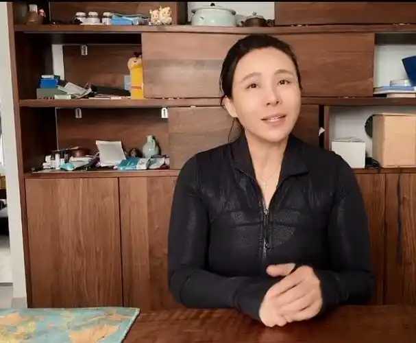 作家陈岚继续挑衅江歌妈妈,让其尽快起诉,届时会拿出人证和物证