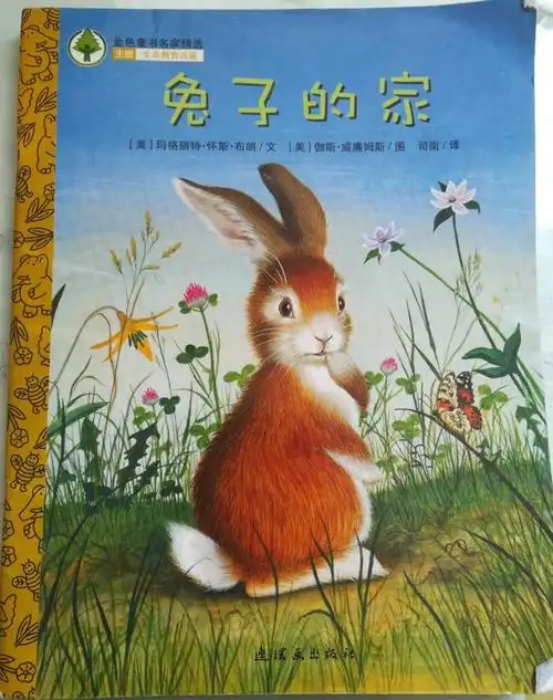 华龙区油田中心第一幼儿园"品读经典,聆听绘本"第三届读书节绘本故事