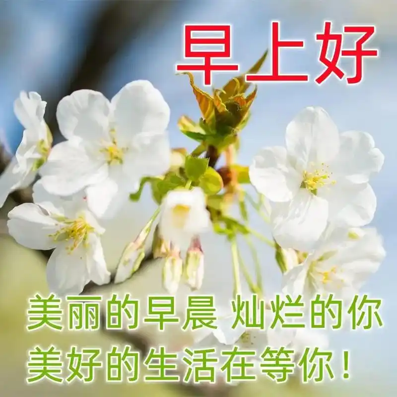 特漂亮的早上好带字早安祝福图片,夏天早上好早安问候表情图片祝福语