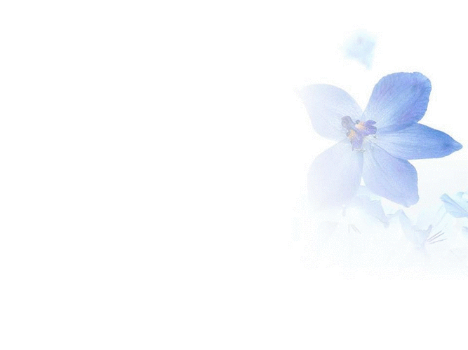 清新淡雅背景14_背景壁纸_图片素材_摄影图_办公素材