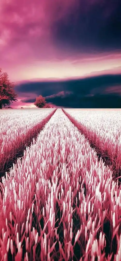 绝美风景微信聊天壁纸