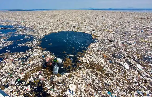 为什么垃圾分类迫在眉睫?我们欠下的"债"太多了!该向环境道歉