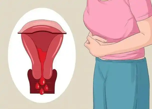 月经期持续多久与女性月经量多少,会影响绝经期和衰老的快慢吗?