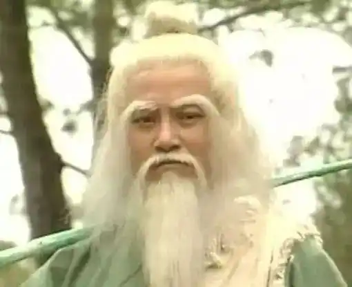 2, 二甲双胍:北丐洪七公