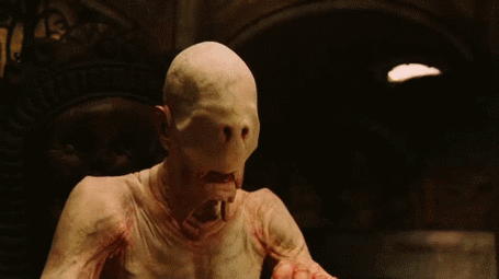 爆笑gif动态图放开我的猫有本事冲我来