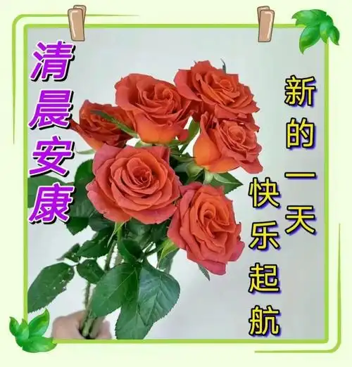 早上好朋友,创意唯美早上好祝福图片带字精选 2023最新冬日早安问候