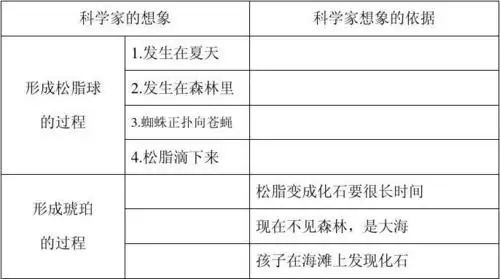 《琥珀》读写练习题