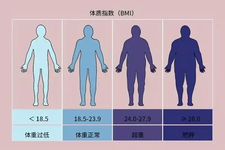 170cm女生标准体重(150-170cm女性标准体重已出,越接近标准越好,可能