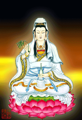 326_475竖版 竖屏gif 动态图 动图