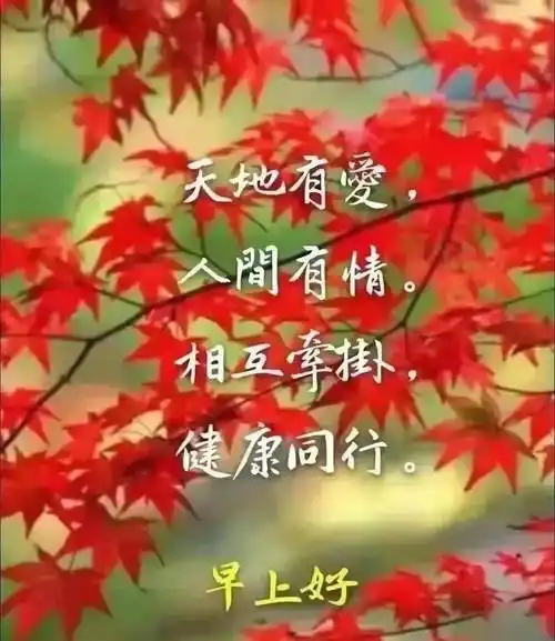 原创2月25日早晨最暖心的早安问候语动态图片带字鲜花最美早上好问候