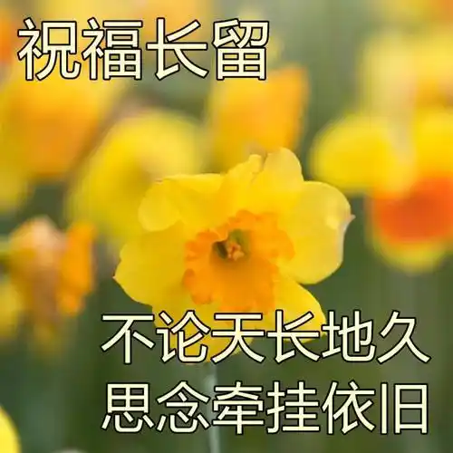 原创送给朋友的祝福图片集锦最真诚的祝福早上好图片送朋友