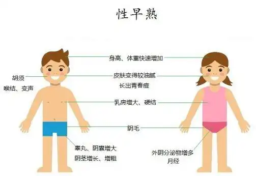 其中一男童经常吃这个|性发育|内分泌_网易订阅