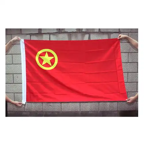 优质5号团旗 中国共青团团旗旗子旗帜 五号96*64厘米