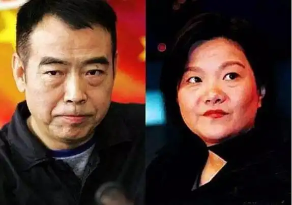 回顾倪萍和陈凯歌分手26年他娶娇妻生活圆满她再婚带痛做母亲