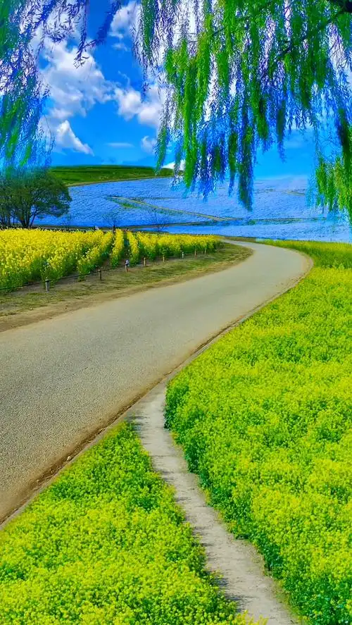 愿所有美好不期而遇!#唯美意境