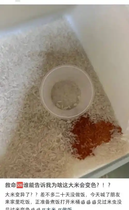 这种大米不能吃!_食物_是一种_黄曲霉菌