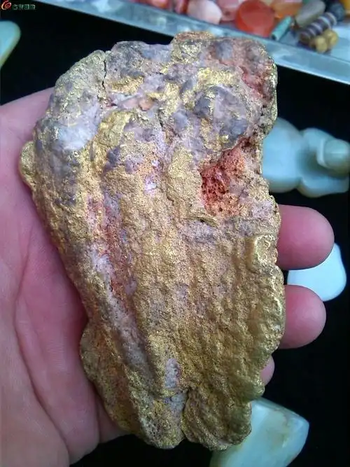 天然新疆狗头金一块