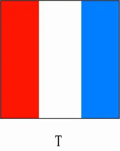 红白蓝是哪国国旗纵向(从左到右)