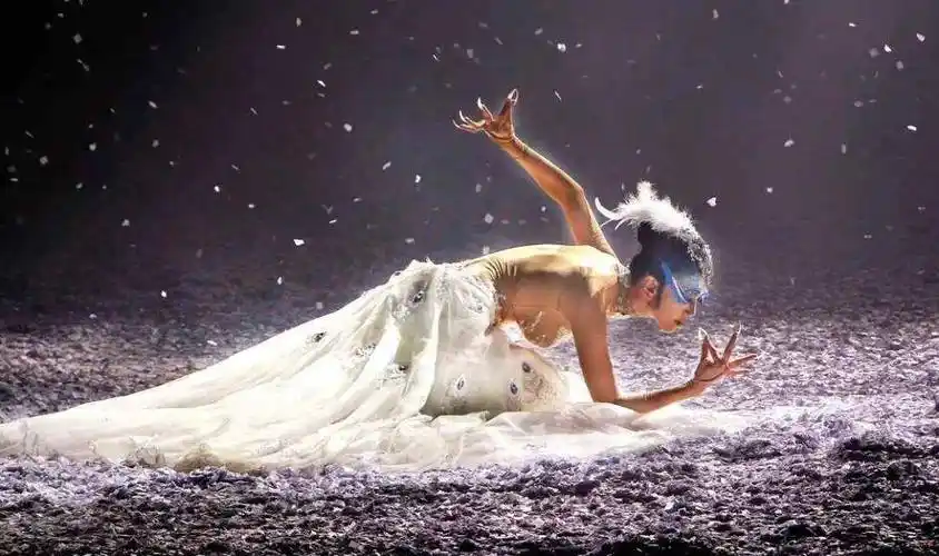 从杨丽萍晒出的视频动态可以看出,她和徒弟们是在舞台上庆祝生日蛋糕