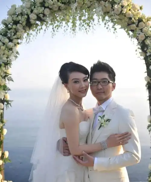 陈数个人资料简介:嫁二婚带子丈夫,为继子安心放弃生育,当后妈也幸福