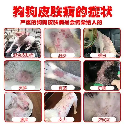 狗狗皮肤病喷剂狗癣真菌感染湿疹螨虫皮屑脓皮症长皮肤病喷雾用品喷剂