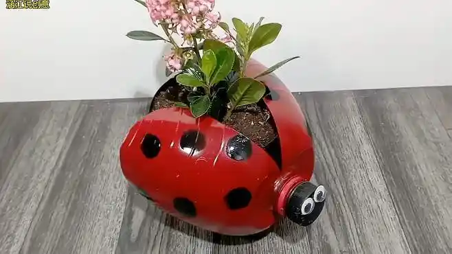 喝完的饮料瓶不要扔,做成花盆小巧可爱又美观!
