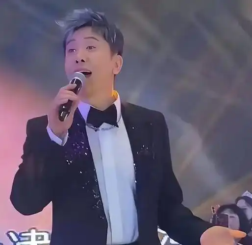 回顾毛宁8次登春晚,从红极一时到"丑闻缠身",如今怎么样了?