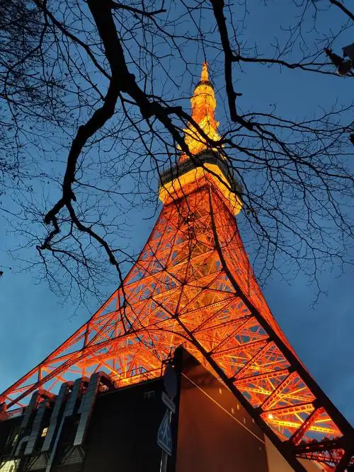 夜晚的日本东京塔