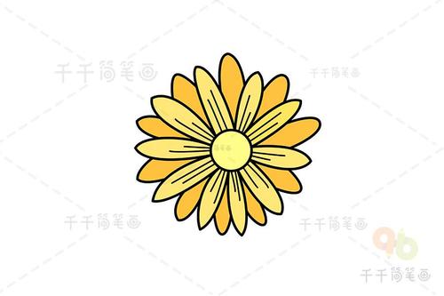 菊花简笔画如何画