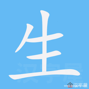 生的笔顺生字怎么写附笔顺动画