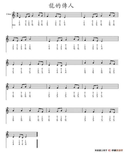 龙的传人布鲁斯