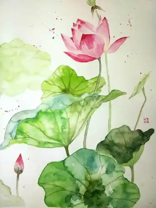 水彩画简单临摹水彩范画临摹