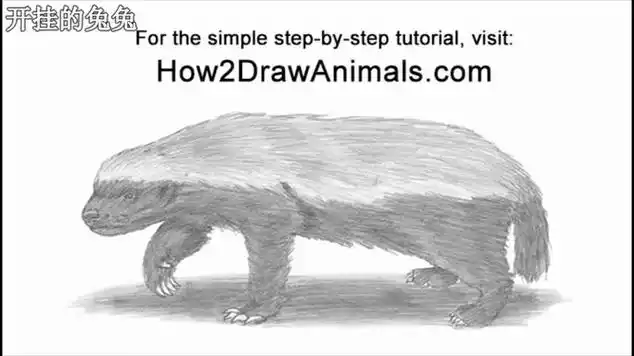 简笔素描教学2分钟教你画神兽平头哥超简单