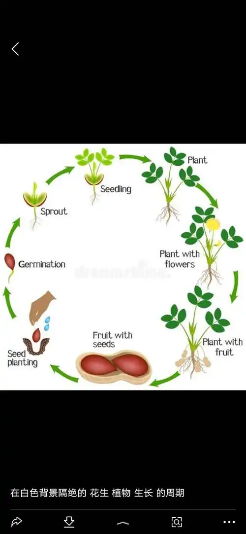 经过夏季秋季的生长,我们会再长高,长大,开花,结果!
