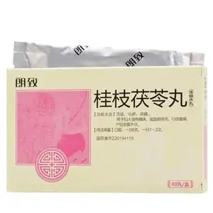 朗致 桂枝茯苓丸(浓缩水丸) 90丸/盒(每10丸重2.2g)