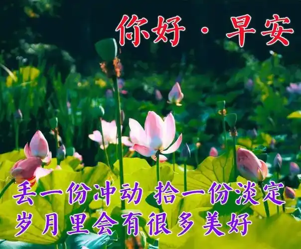 早上好朋友,幸福暖心的早上好问候祝福语动态图片带字 最美清晨早安