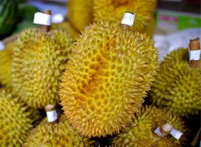 17吨泰国山竹榴莲等包机飞抵兰州