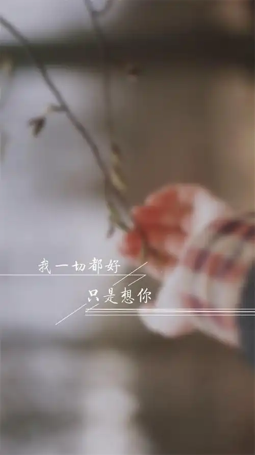 精选伤感文字唯美意境手机壁纸下载